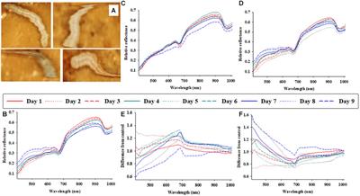 Proximal Remote Sensing to Non-destructively Detect and Diagnose Physiological Responses by Host Insect Larvae to Parasitism